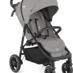 Joie Litetrax pro Pebble